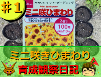 Thumbnail of post image 142